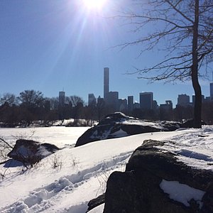 Blizzard_NY_Park