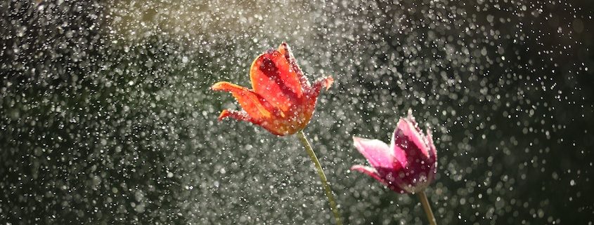 Ubimet Wetter - Nasse Wetterphase: Große Regenmengen im Bergland, deutlich kühler