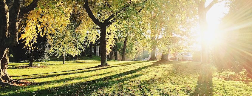 Ubimet Wetter - Sehr heißes letztes Augustwochenende