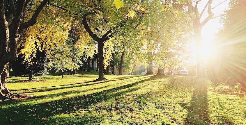 Ubimet Wetter - Sehr heißes letztes Augustwochenende