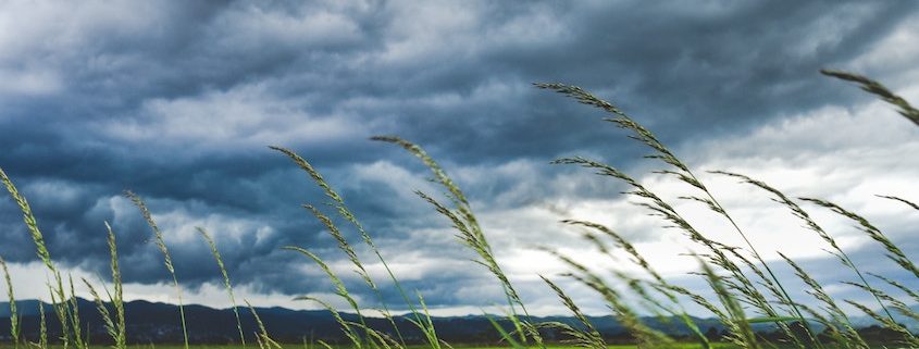 Ubimet Wetter- Wind - Sturm