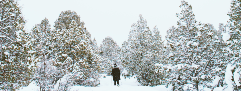 Der November geht winterlich Erster Schnee im Flachland