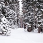 Ubimet - Wetter - Schneefallgrenze bei rund 600 m, mehr als ein halber Meter Neuschnee