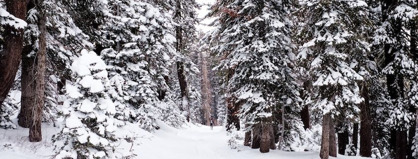 Ubimet - Wetter - Schneefallgrenze bei rund 600 m, mehr als ein halber Meter Neuschnee