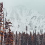 Zuvor föhnig und bis zu 17 Grad ab Sonntag strenger Frost im Gebirge