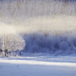 Februar 2018 Kalt trüb und im Süden schneereich