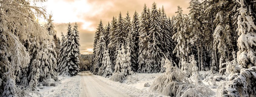 Erst Frühling dann Winter