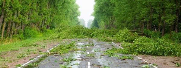 UBIMET-Keep-Roads-Open-Strong-Wind