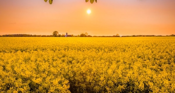 Hochsommer-endet-mit-Temperatursturz-und-Gewittern