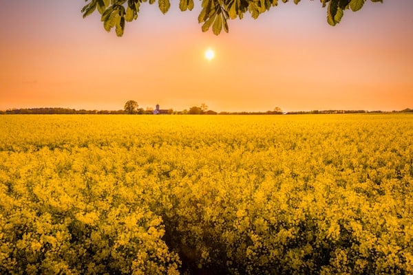 Hochsommer-endet-mit-Temperatursturz-und-Gewittern