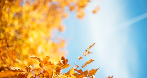 Föhn bringt den goldenen Oktober