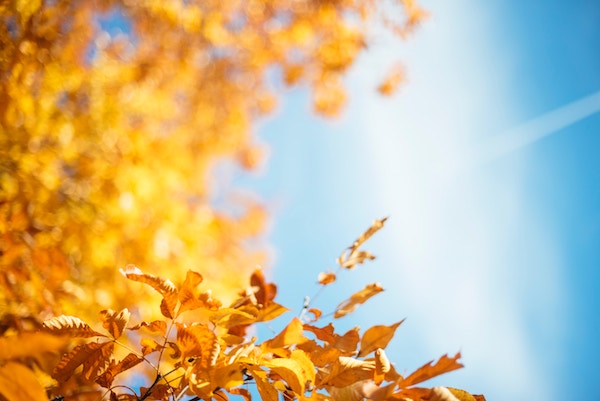 Föhn bringt den goldenen Oktober