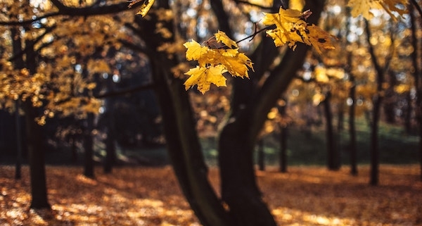 Oktoberrückblick_Ungewöhnlich sonnig mit nassem Ende