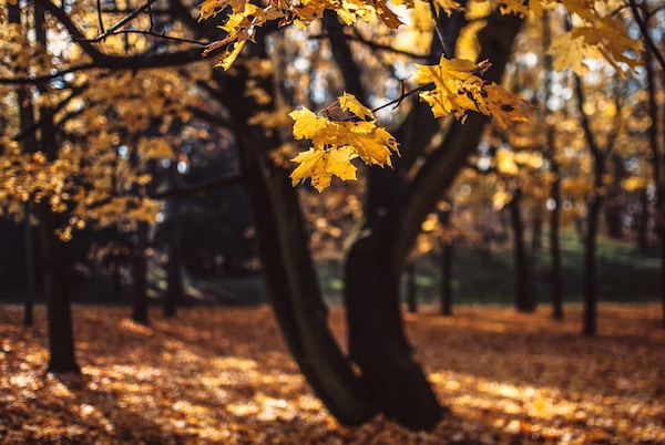 Oktoberrückblick_Ungewöhnlich sonnig mit nassem Ende