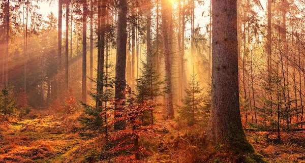 Sonnenschein-Soll-für-Oktober-bereits-erreicht