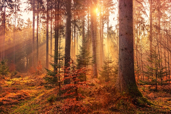 Sonnenschein-Soll-für-Oktober-bereits-erreicht