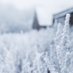 Auf Schnee folgt Kälte