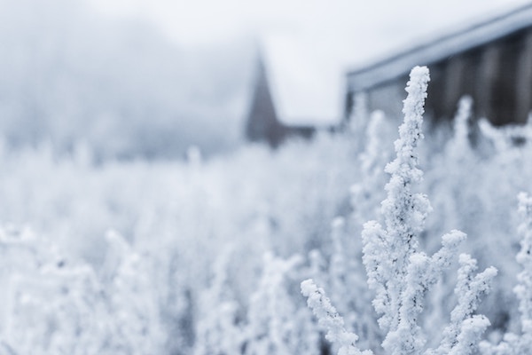 Auf Schnee folgt Kälte