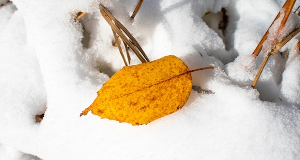 Erster Gruß vom Winter