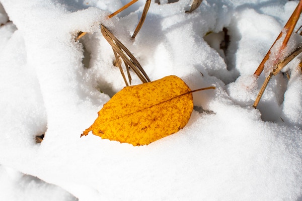 Erster Gruß vom Winter