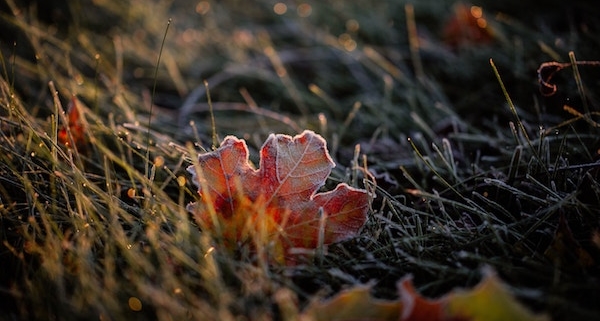 Föhnende und Morgenfrost im Flachland, aber weiterhin trocken