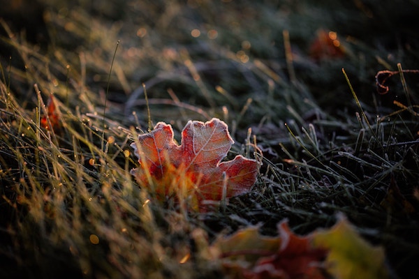 Föhnende und Morgenfrost im Flachland, aber weiterhin trocken