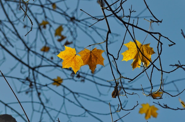 Warmstart in den November