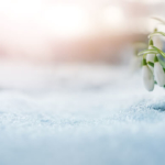 UBIMET: Am Samstag nochmals bis zu 17 Grad, danach folgt in den Alpen Schnee