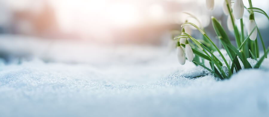 UBIMET: Am Samstag nochmals bis zu 17 Grad, danach folgt in den Alpen Schnee